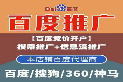 竞价SEM案例分享：行业霸主崛起之路